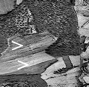 Remote Sensing @ CES