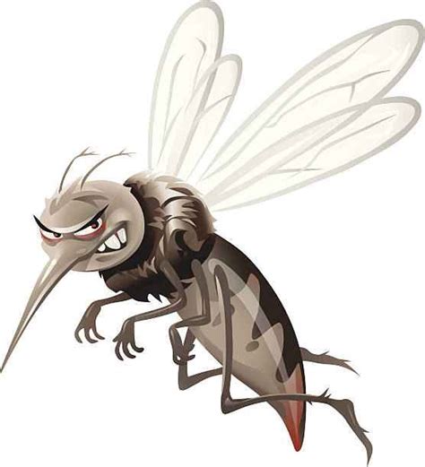 मच्छर से जुड़े 10 रोचक तथ्य