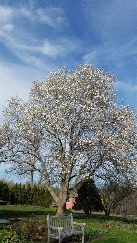 Landscape Message: April 27, 2018 : Center for Agriculture, Food, and ...