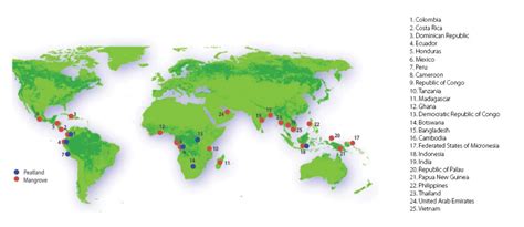 Swamp Map 的图像结果