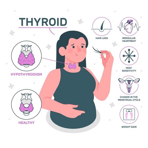 TSH Test Explained: Normal Ranges, Thyroid Function, and What Your ...