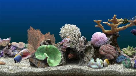 Computer Fish Tank Virtual Free Programs 的图像结果