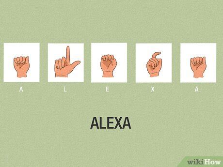 Image result for Types of Sign Language