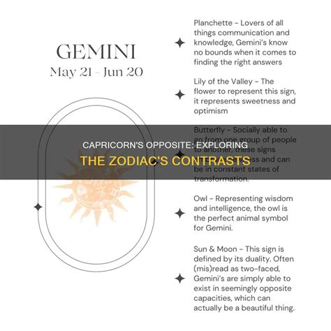 Capricorn's Opposite: Exploring The Zodiac's Contrasts | ShunSpirit