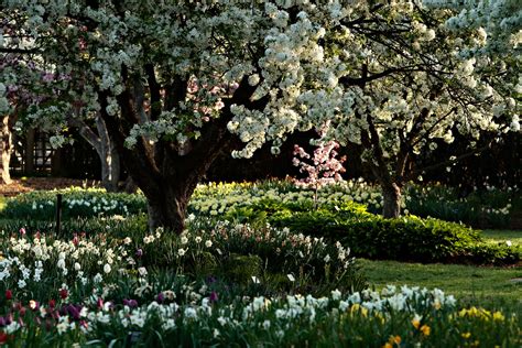 Image result for Spring vs Spring MVC Vs. Spring Boot Type in Table