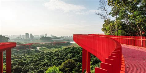 Sportsfield within Forest 的图像结果