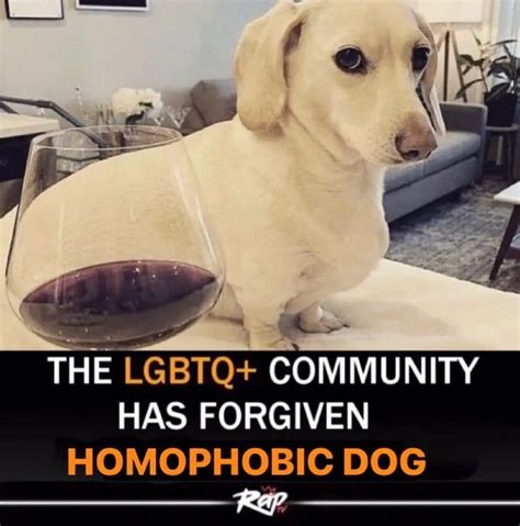 Rage Comics Wine Glass