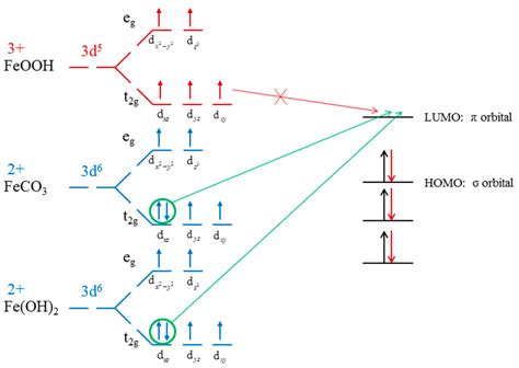 Activation of Dolomite Flotation by Ferrous Hydroxide and Carbonate