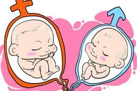 这几种情况下孕妈很可能怀双胞胎, 快来看看有你吗