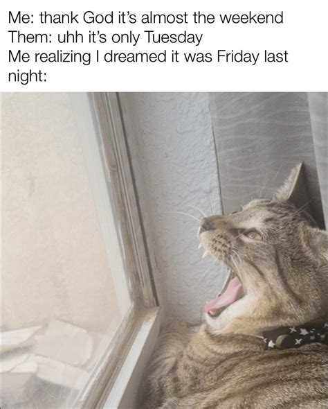 Eternal suffering : r/meme