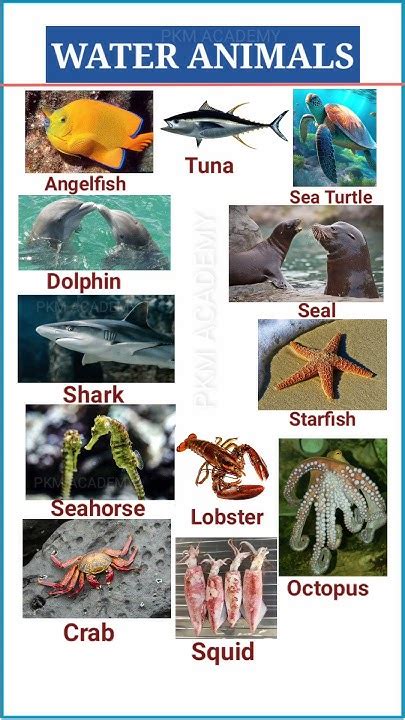 Image result for Water Reflection Photoshop Tutorial