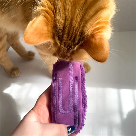 Image result for Lady with Comment Box