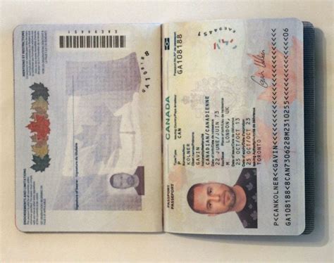 假护照、真护照、驾照、身份证、签证. 假护照、真护照、驾照、身份证、签证、文凭和出生证明 | by Marcus Ding | Medium