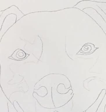 Image result for Pet Painting Tutorial