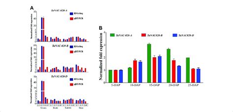 Image result for Cell Stage Gene Expression