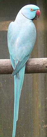 Parc Ornithologique de Bretagne