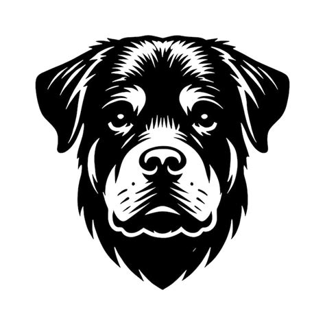 Rottweiler Kopf Bilder - Kostenloser Download auf Freepik