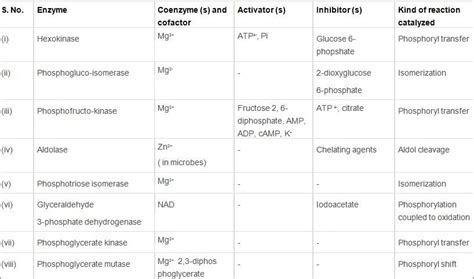 Respiration in Plants Class 11 Notes Biology Chapter 14
