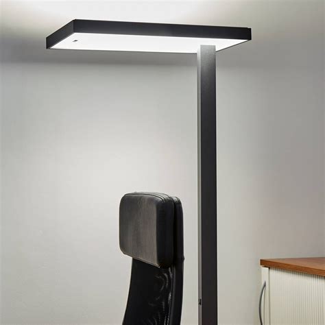 Lola LED Office Floor Lamp 4,000 K DALI by Lenneper