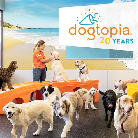 Image result for How to Download Dogtopia Java