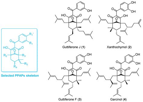 Targeting MHC Regulation Using Polycyclic Polyprenylated ...