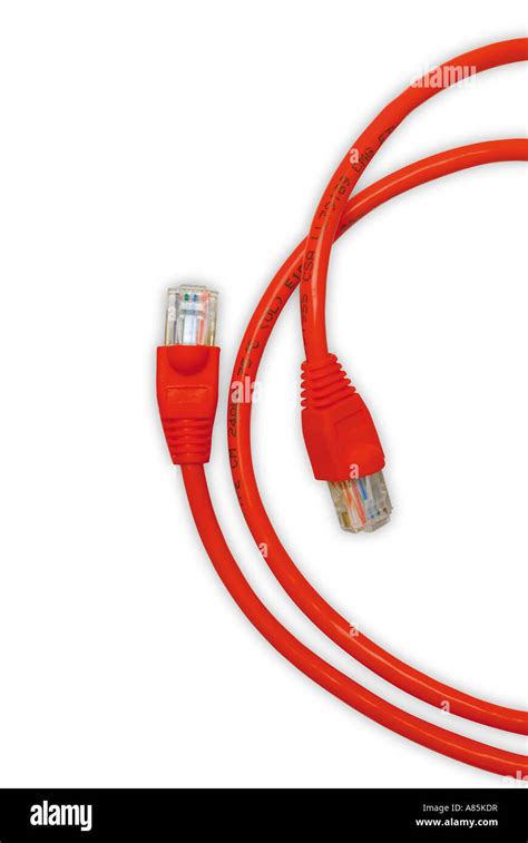 Image result for Internet Cable Plug