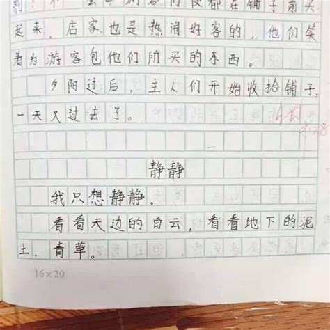 6年级女生作文吐槽国庆假日：我只想静静_新闻频道_中国青年网