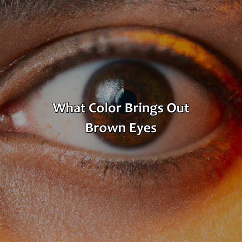 What Color Brings Out Brown Eyes - colorscombo.com
