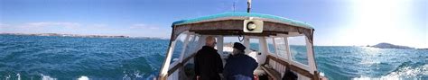 COASTLINE CRUISES (2026) All You Need to Know BEFORE You Go (with ...