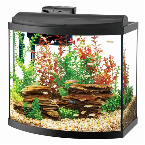 Bow Front Aquariums | Aqueon