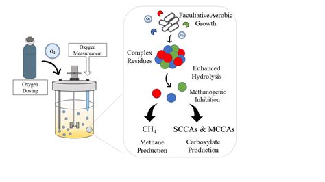 The Measurement, Application, and Effect of Oxygen in Microbial ...