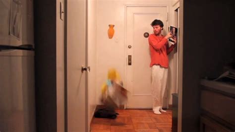 Image result for Drop Something Animation