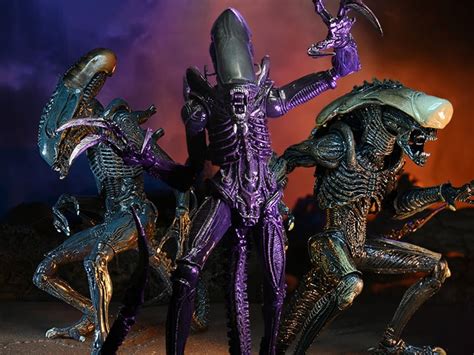 Image result for Alien versus Predator 3