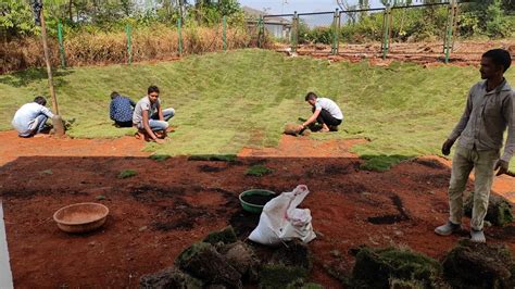 GreenFeather | Landscape & Nursery Services