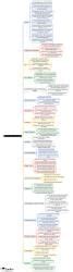 Mind Map: Environment and Health - Preventive and Social Medicine (PSM ...