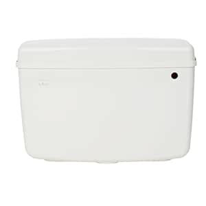 PARRYWARE Slimline Series Polymer/PVC Single Flush System Exposed ...