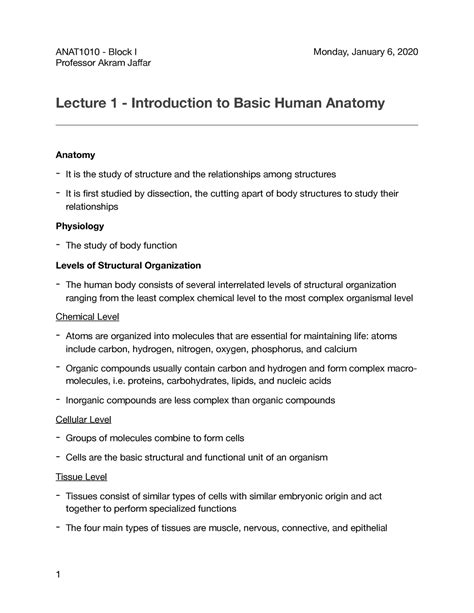 Image result for Human Photography Introductory Tutorial