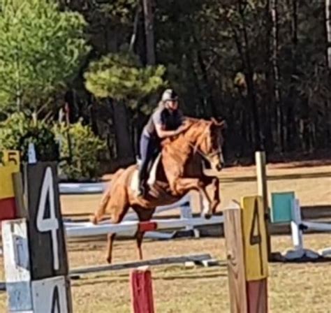 RESCHEDULED Sandhills Starter Arena Eventing, Heather Ridge Farm ...