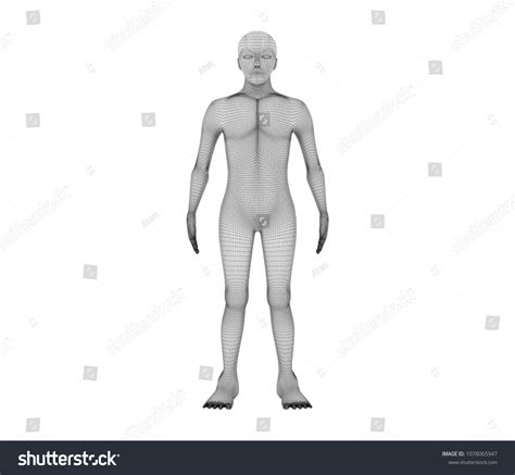 Image result for Front View Model