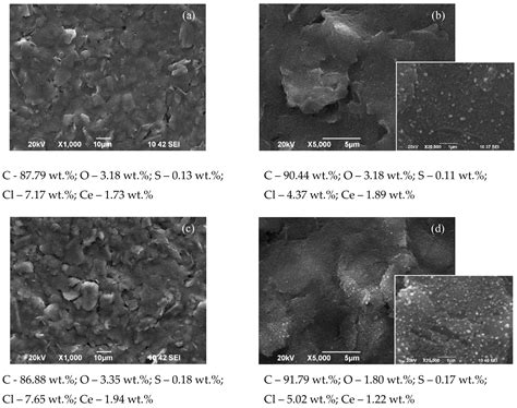 Characterization of Different Types of Screen-Printed Carbon Electrodes ...