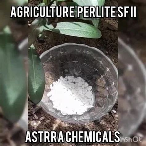 Perlite Powder - Expanded Perlite Powder Manufacturer from Chennai