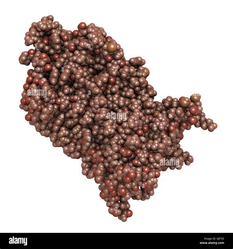 rhodopsin (visual purple) light perception protein, chemical structure ...