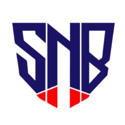 Safe Nebula Price: SNB Live Price Today | Market Cap & Chart Analysis ...