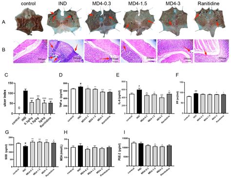 RNA-Seq Reveals Protective Mechanisms of Mongolian Medicine Molor-Dabos ...