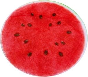 7 horse Velvet Door Mat - Buy 7 horse Velvet Door Mat Online at Best ...