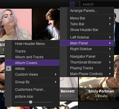 Image result for How to Customize MusicBee Layout