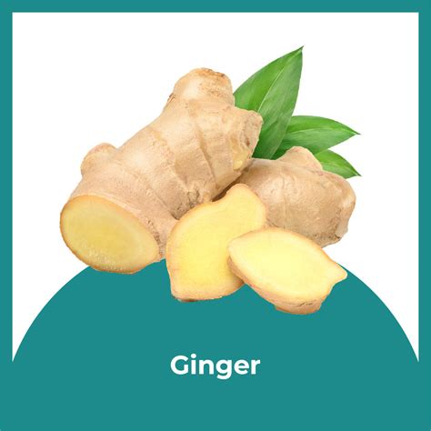 Buy Nurosmart Brain Booster Syrup for Kids | Ayurvedic Memory Tonic ...