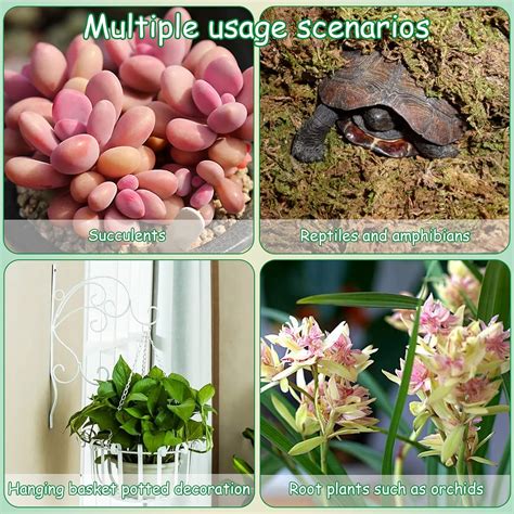 Buy Hamiledyi Reptile Sphagnum Moss Dried Forest Moss Crawling Pet ...