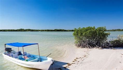 Excursión a Las Coloradas y Río Lagartos, Tulum - Central de Reservas