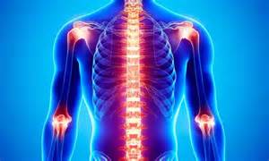 Study finds people on colchicine need less joint replacement, reveals ...